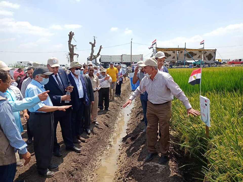 الزراعة