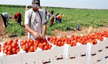   الزراعة: ارتفاع صادرات مصر الزراعية الى 4.8 مليون طن