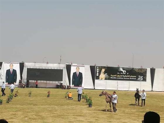 نائب محافظ الشرقية: مهرجان الخيول العربية أحد العلامات المميزة للمحافظة