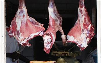   ارتفاع أسعار اللحوم الحمراء
