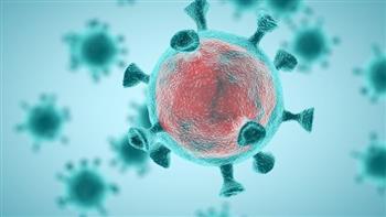   نيوزيلندا تسجل 61 إصابة جديدة بفيروس "كورونا"