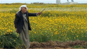   حملة فلسطينية لدعم صمود المزارعين فى وجه اعتداءات الاحتلال