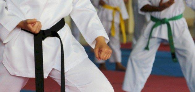 اتحاد التايكوندو يبدأ تحضيراته استعداداً لعقد الانتخابات