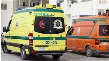   مصرع طفلين شقيقين صدمتهما سيارة فى بورسعيد