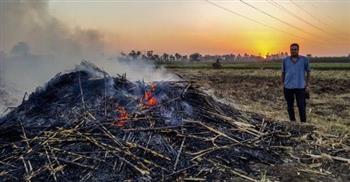   تحرير 43 محضر حرق مكشوف للمخلفات الزراعية باسيوط