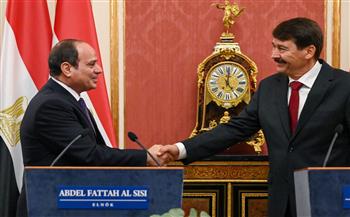   عضو بالشيوخ: السيسي يطور علاقات مصر بالاتحاد الأوروبى