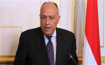   وزير الخارجية يؤكد دعم ‫مصر‬ للأزمة السورية