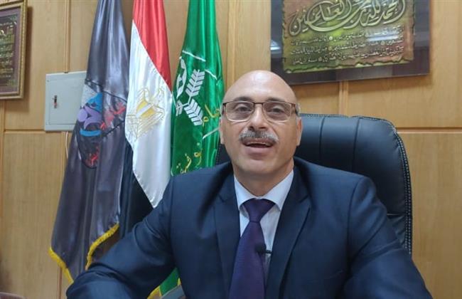 انتظام الدراسة بكلية التربية للطفولة المبكره بجامعة المنوفية