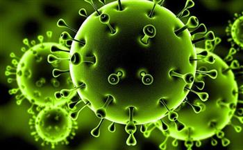   الهند تسجل 24 ألفا و354 إصابة جديدة بفيروس كورونا