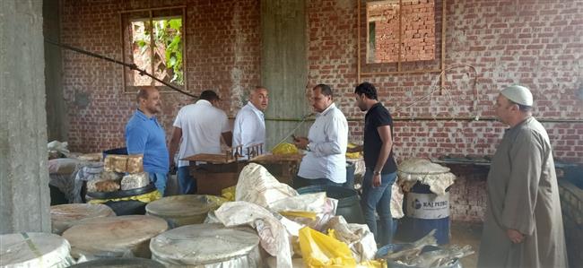 ضبط ١٦ طن اسماك مملحة وغير صالحة للاستهلاك الآدمي برشيد