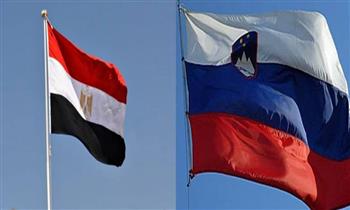   مصر وسلوفينيا تبحثان أوجه العلاقات الثنائية بينهما