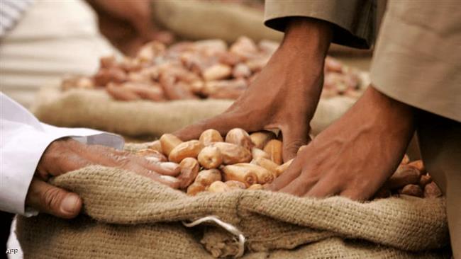 أمجد القاضي : مصر أكبر منتج للتمور في العالم بنسبة 18%