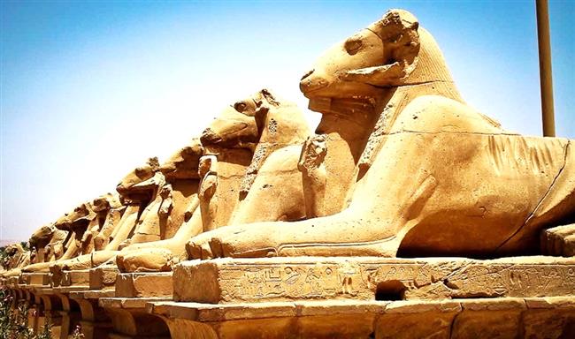 فيديو.. مصطفى وزيري: ترميم الكباش كان يتم بالأسمنت والجبس 