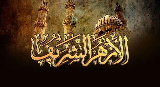 الأزهر يحسم الجدل حول حكم زراعة كلية خنزير في جسم الإنسان 