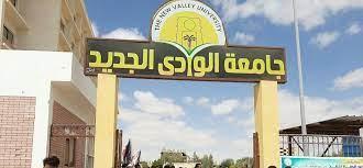 «رفع وتحسين الانتاجية لنخيل التمر».. دورة بجامعة الوادى الجديد