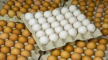   الزراعة: طرح بيض المائدة بـ 45 جنيها للكرتونة