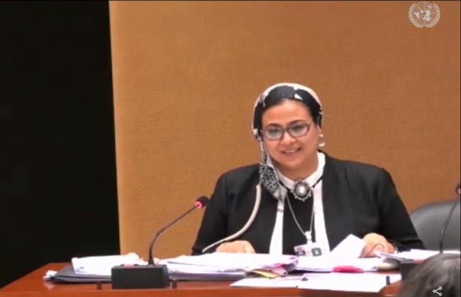 وفد مصر بجنيف: ٢٠ ٪ من القاضيات بهيئة قضايا الدولة وعضوات هيئة النيابة الإدارية