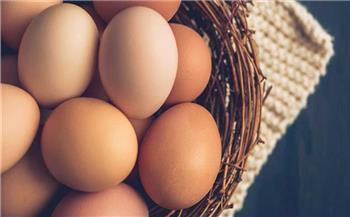 التموين توضح أسباب ارتفاع أسعار البيض