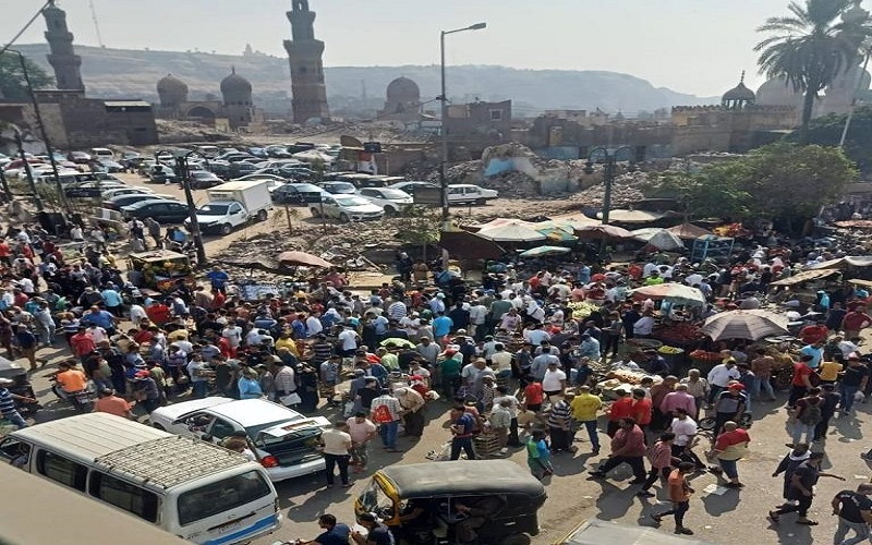 القاهرة: غلق سوق الجمعة لمنع عودة بيع الحيوانات البرية