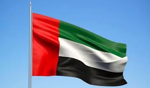   الإمارات تعزز التعاون مع 14 دولة لمكافحة غسيل الأموال