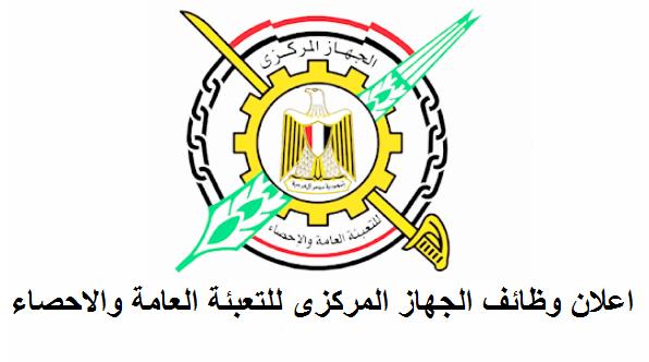 «الإحصاء»: مساهمة الذكور في النشاط الاقتصادي 4 أضعاف الإناث