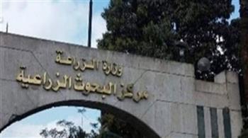 مدير «تغيير المناخ الزراعي»: العالم يتجه للتنمية المستدامة والحفاظ على البيئة