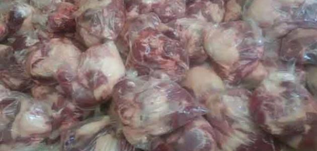 ضمن مبادرة حياة كريمة توزيع طن من اللحوم المجمدة بالإسماعيلية 