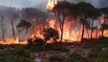   النواب اللبناني يوجه بسرعة التحقيق في كارثة الحرائق المشتعلة