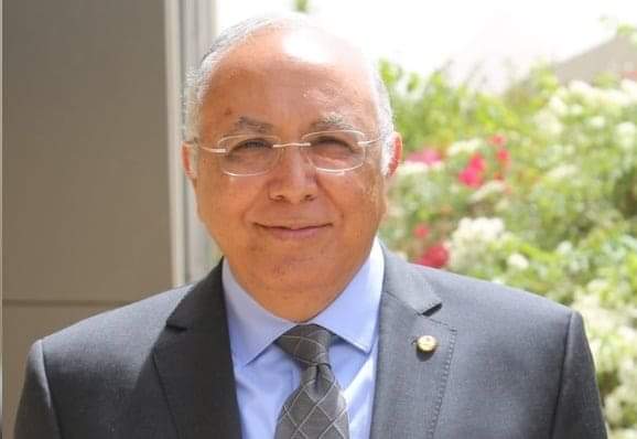 رئيس الجامعة اليابانية بالإسكندرية: نسعى لدعم البرنامج المصري الفضائي