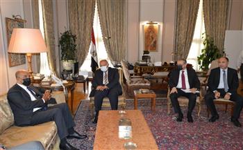   شكرى يعقد جلسة مباحثات مع نائب رئيس المجلس الرئاسي الليبي