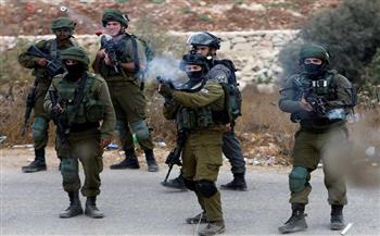   الاحتلال يعتقل 11 فلسطينيا في الضفة الغربية 