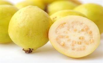   الجوافة كنز من كنوز الصحة في الشتاء
