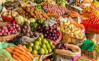   «3 أسباب لتراجع أسعار الخضروات مابين 15% إلى 30%»... تعرف عليها