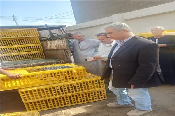 توزيع 45 ألفا و160 بطة بمراكز ومدن البحيرة