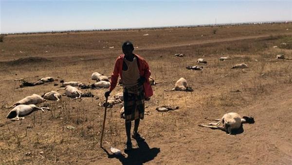 الأمم المتحدة تحذر من وضع حرج في الصومال بسبب الجفاف