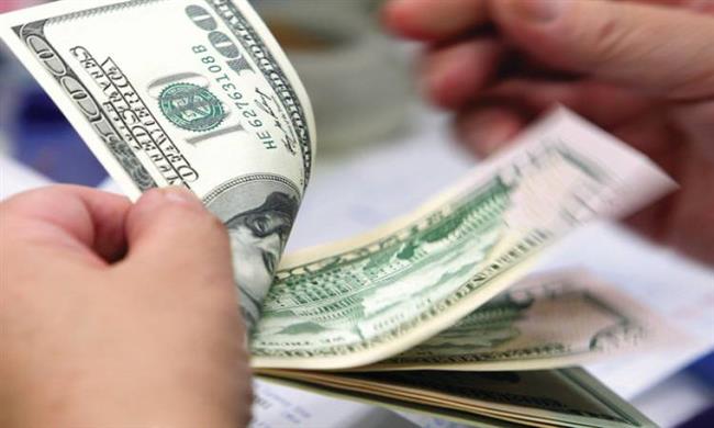 استقرار سعر الدولار أمام الجنيه في بداية التعاملات الصباحية