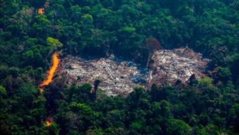   قمة المناخ.. قادة العالم يتعهدون بوقف إزالة الغابات بحلول 2030
