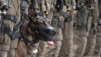   جيش النمسا ينجح في الكشف عن كوفيد-19 بواسطة الكلاب 