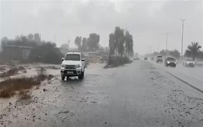فيديو..  عبد العزيز قنصوه: تعطيل الدراسة غدا في جامعة الإسكندرية  