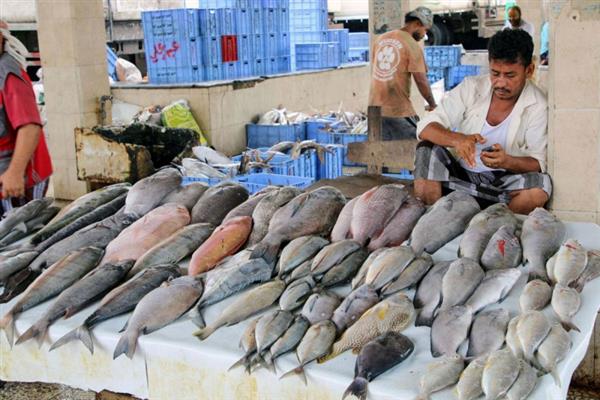 الامطار : وراء أرتفاع أسعار الأسماك في محافظة الوادي الجديد