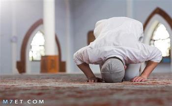 ما حكم الصلاة بقصار السور فقط؟.. الإفتاء تجيب