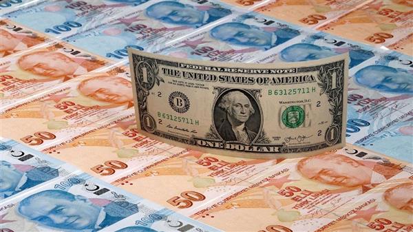 الليرة التركية تواصل التراجع أمام العملات الأجنبية