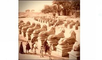 1095 عدد تماثيل الكباش بالأقصر