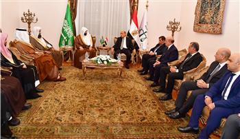   رئيس مجلس الدولة يبحث مع رئيس ديوان المظالم السعودي تعزيز التعاون القضائي