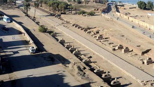 لماذا قدس المصري القديم الكباش؟