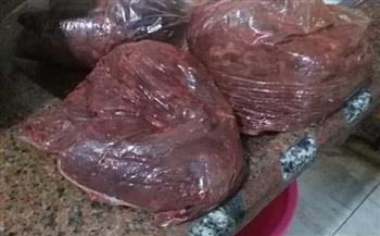 ضبط 8 أطنان لحوم وأسماك فاسدة داخل ثلاجة بحلوان 