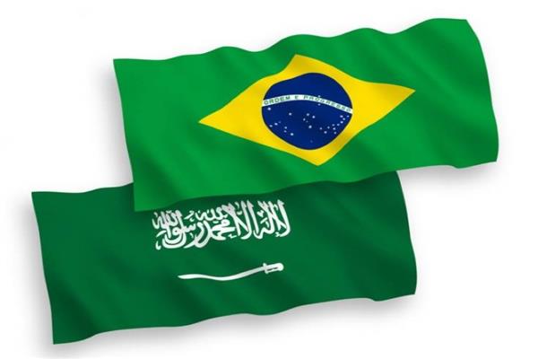السعودية والبرازيل تبحثان تعزيز التعاون المشترك