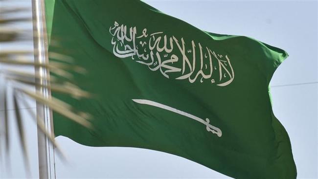 ارتفاع الاستثمار الأجنبى المباشر فى السعودية 