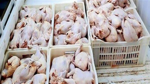 القبض على صاحب محل بحوزته نصف طن دواجن ولحوم فاسدة بالقاهرة 