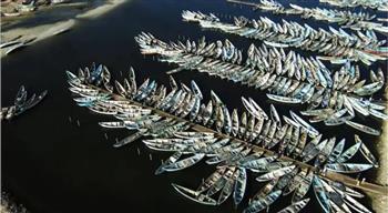   اليابان تمول تشييد مختبرات لمنتجات الأسماك شمال موريتانيا